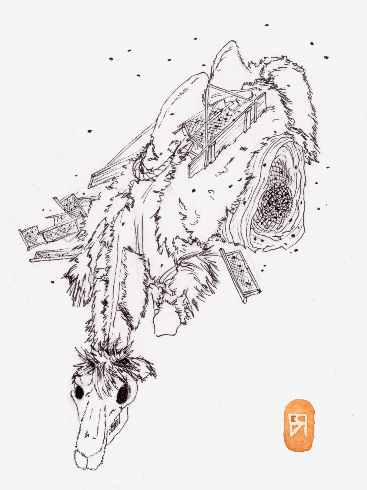 Chameau - Reproduction