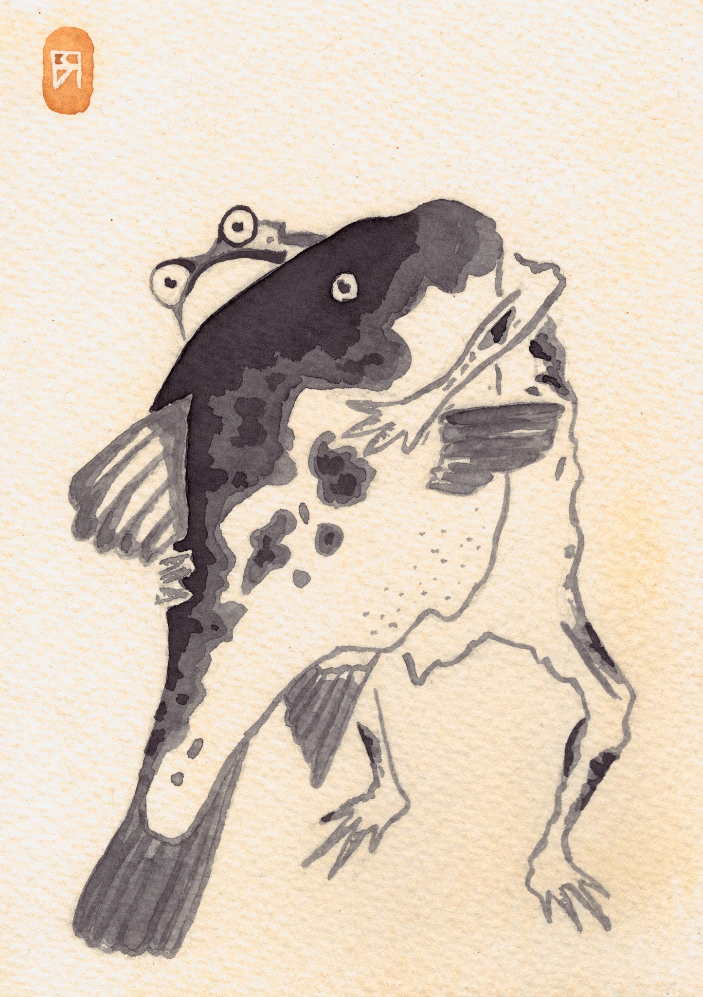 Grenouille et Poisson - Reproduction