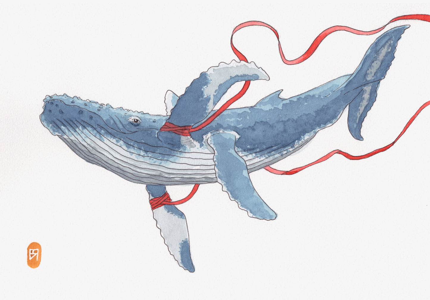 Baleine à Rubans - Reproduction