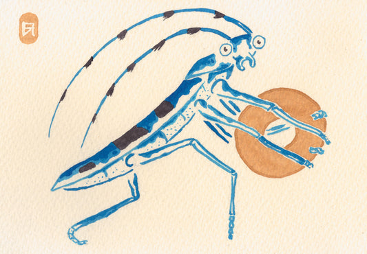 Carabe Avare - Reproduction