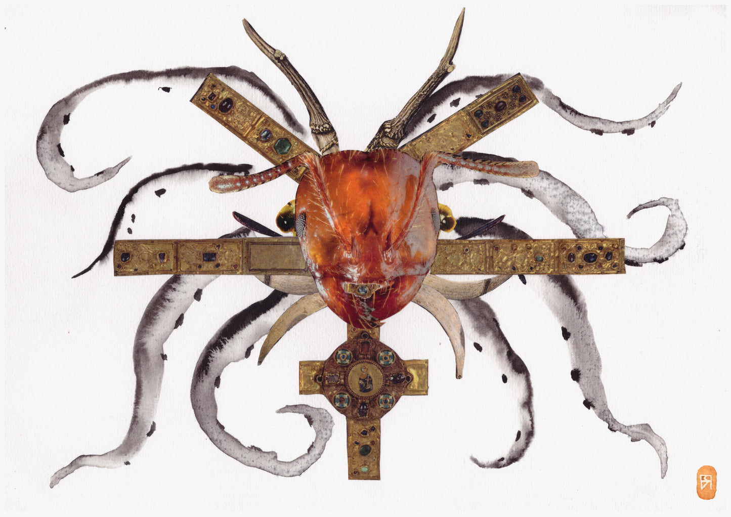 Fourmis - Reproduction