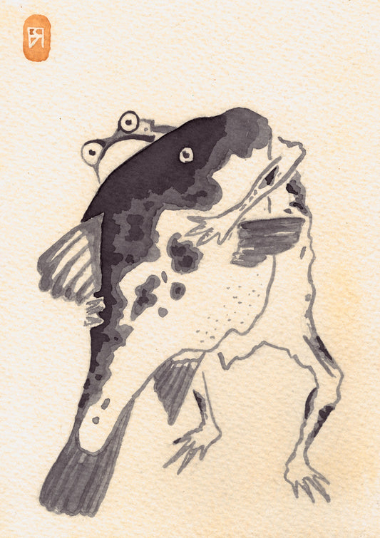 Grenouille et Poisson - Reproduction