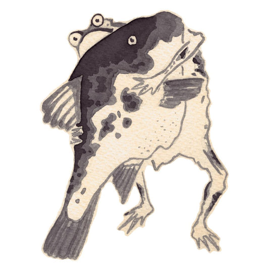 Grenouille et Poisson