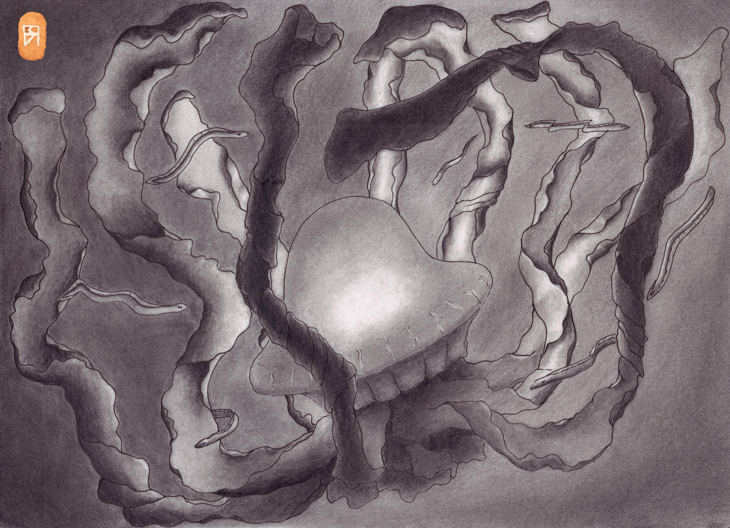 Méduse et Anguilles - Reproduction