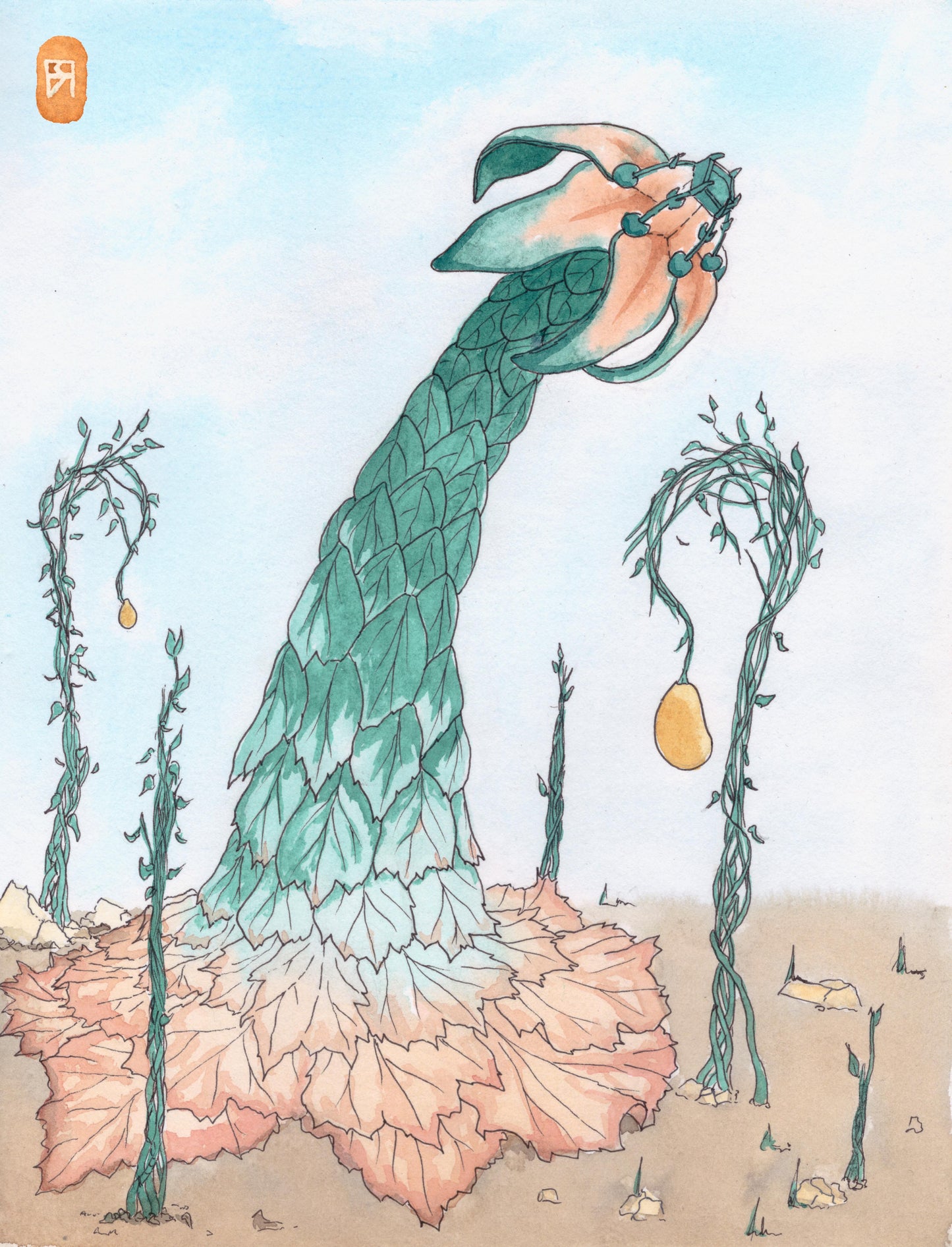 Rhubarbe Royale - Reproduction